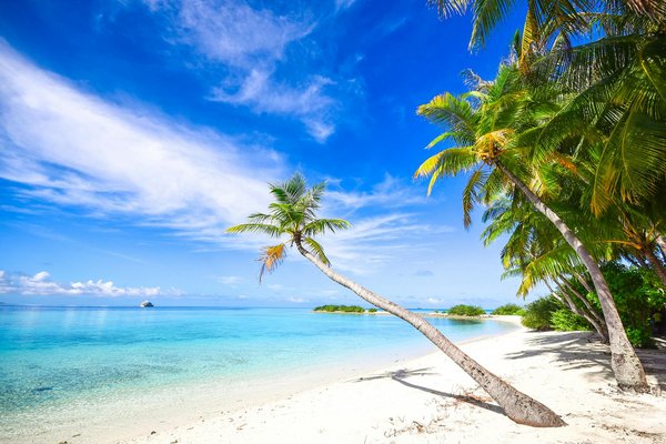 Les offres spéciales tourisme qui valent vraiment le détour